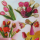 Tulpen 1