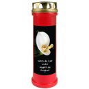 Grabkerze Rot 100h ( Deckel Gold ) - Calla