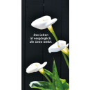 Grabkerze Weiß 100h ( Deckel Gold ) - Calla 2