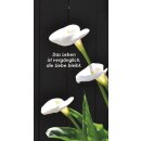 Grabkerze Rot 170h ( Deckel Gold ) - Calla 2