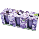 Duftkerzen Classic - Kerzen im  3er Pack - Lavendel