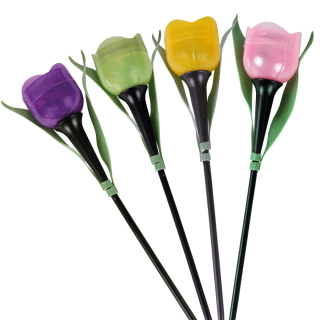 Solar Stick Tulpe, 4 Farben