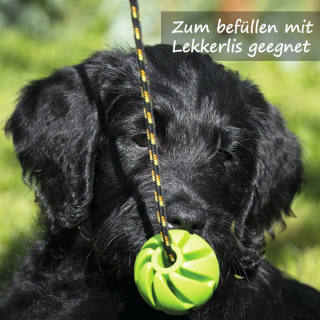 Hunde Spiralball 7cm