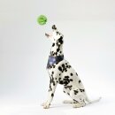 Hunde Spiralball Ø7cm "1er Pack" - Grün