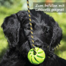 Hunde Spiralball Ø7cm "1er Pack" - Schwarz