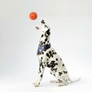 Hunde Spiralball Ø7cm "2er Pack" - Orange