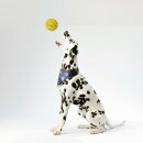 Hunde Spiralball Ø7cm "2er Pack" - Gelb