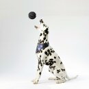 Hunde Spiralball Ø7cm "4er Pack" - Schwarz