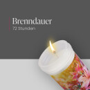 Grabkerze 72h Brenndauer Kosmosblume (Lila)