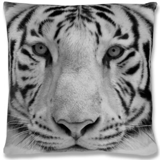 Tiger grey