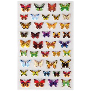 Schmetterlinge 2