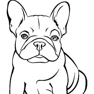 Bulldogge